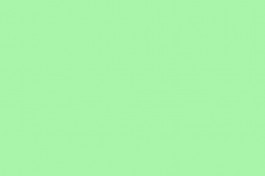 CUCO Curatorial Concepts Berlin