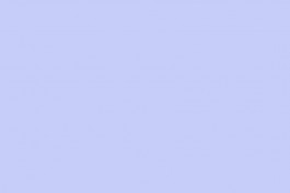 CUCO Curatorial Concepts Berlin