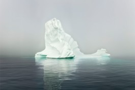 CUCO Curatorial Concepts Berlin